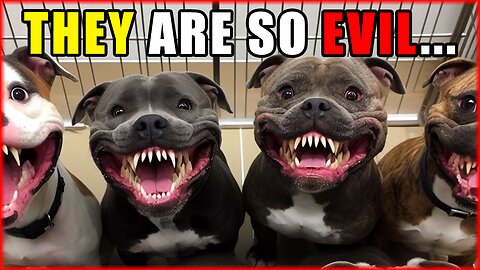 DOUBLE DIP THE CRAZY EDITION - STOP ZIONIST HATE, PITBULLS, FREEDOMS FOR SECURITY, DEREK CHAUVIN