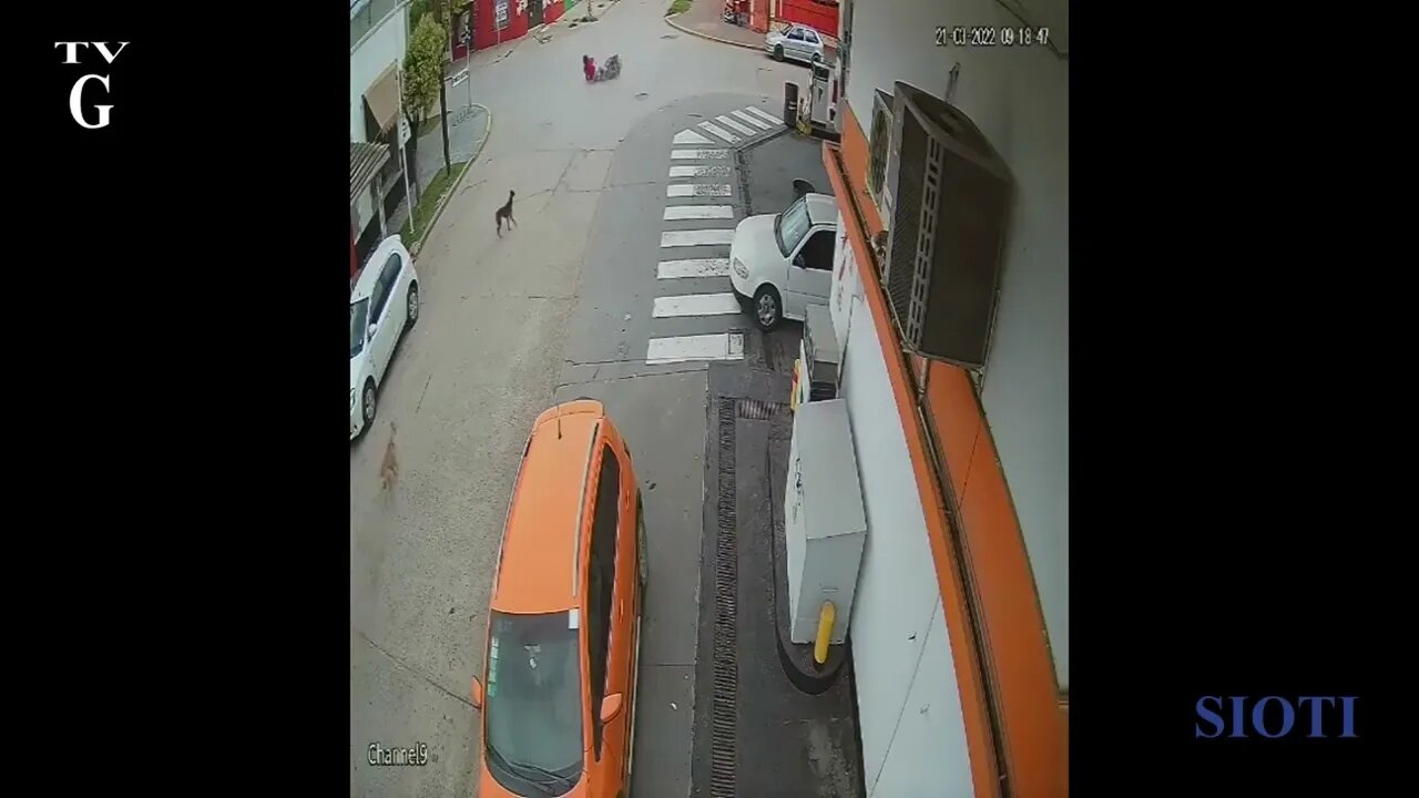 31 August
