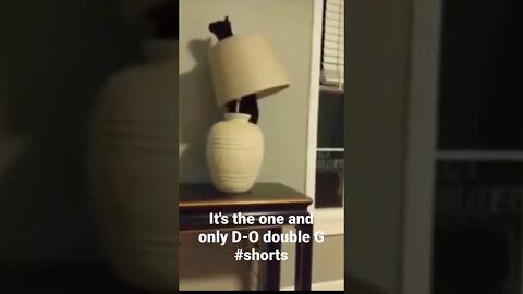 It's the one and only D-O double G #shorts