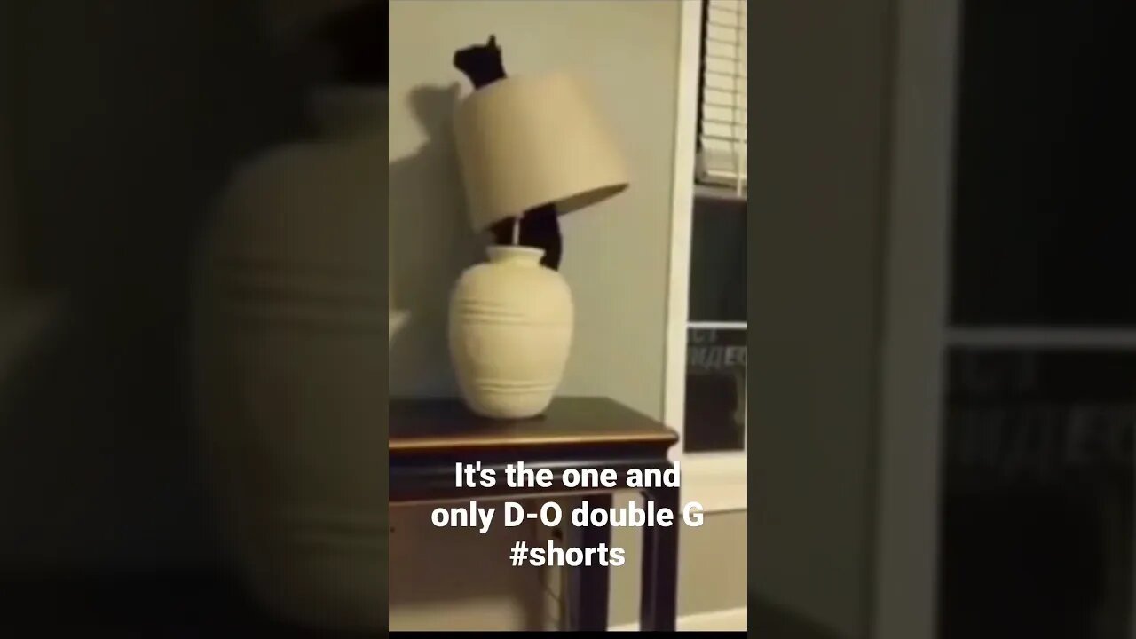 It's the one and only D-O double G #shorts