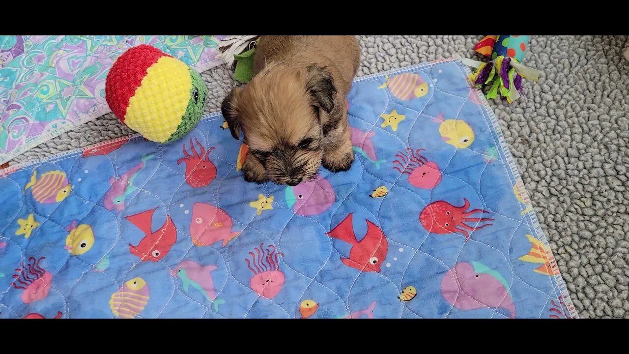 O Litter.. Getting Big!(2)