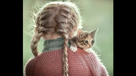 cute cat view