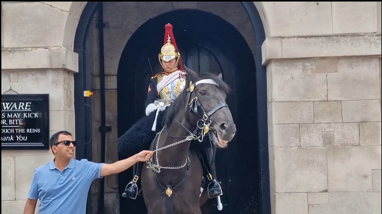 Tourist pulls on chain. stand back from the kings life guard he thinks it's funny police come