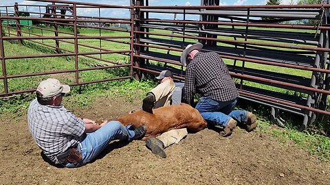 Branding Bloopers 2023 | Hashknife Ranch