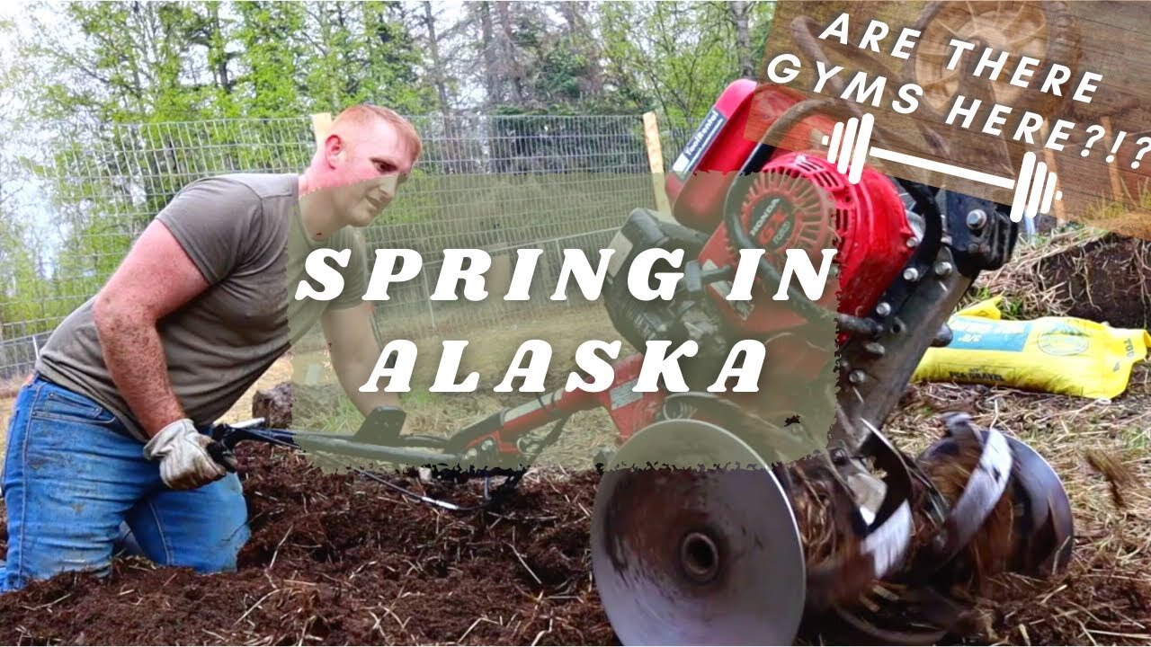 Will things GROW here? | Alaska Gyms...