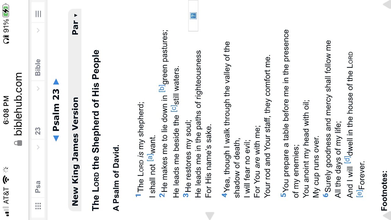 P2 SABBATH DAY PSALM 23 11/23/24 (8MIN)