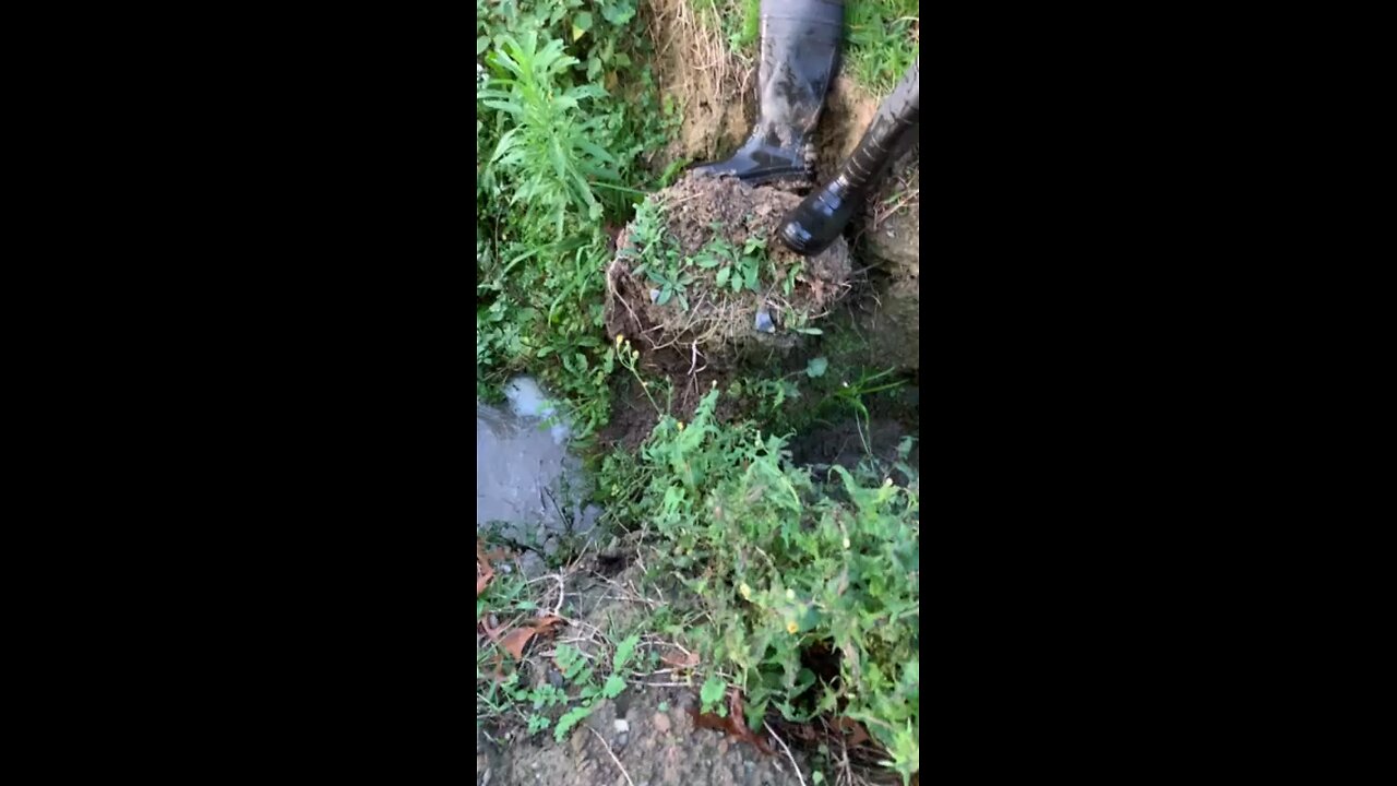 Exciting slow motion