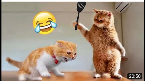 Funniest Animals 2023 😂 Funniest Cats and Dogs 😺🐶 22 Minutes Compilation