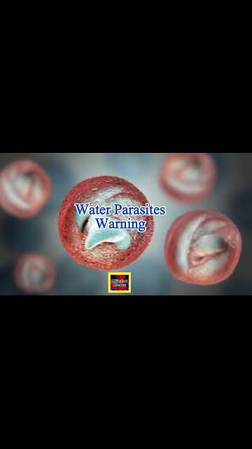 Restrictions still in place for 2,500 homes after water parasite outbreak in Brixham