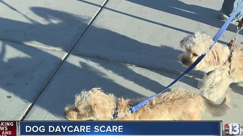 Fire scare at downtown dog daycare center