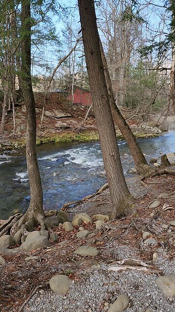 Little Pigeon River