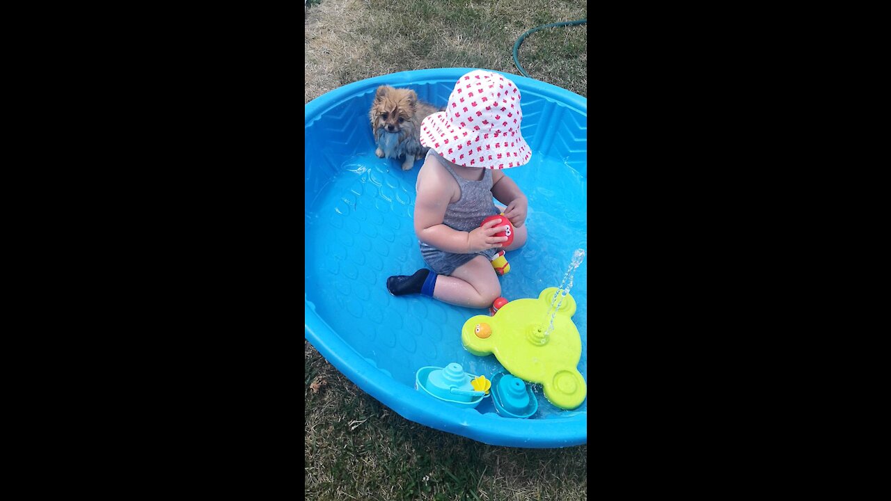 Cute Puppy and Baby playing in water