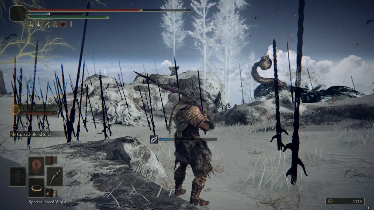 Radagon Vs Death Rite Bird Elden Ring