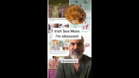 Irish Sea Moss Why I'm obsessed?