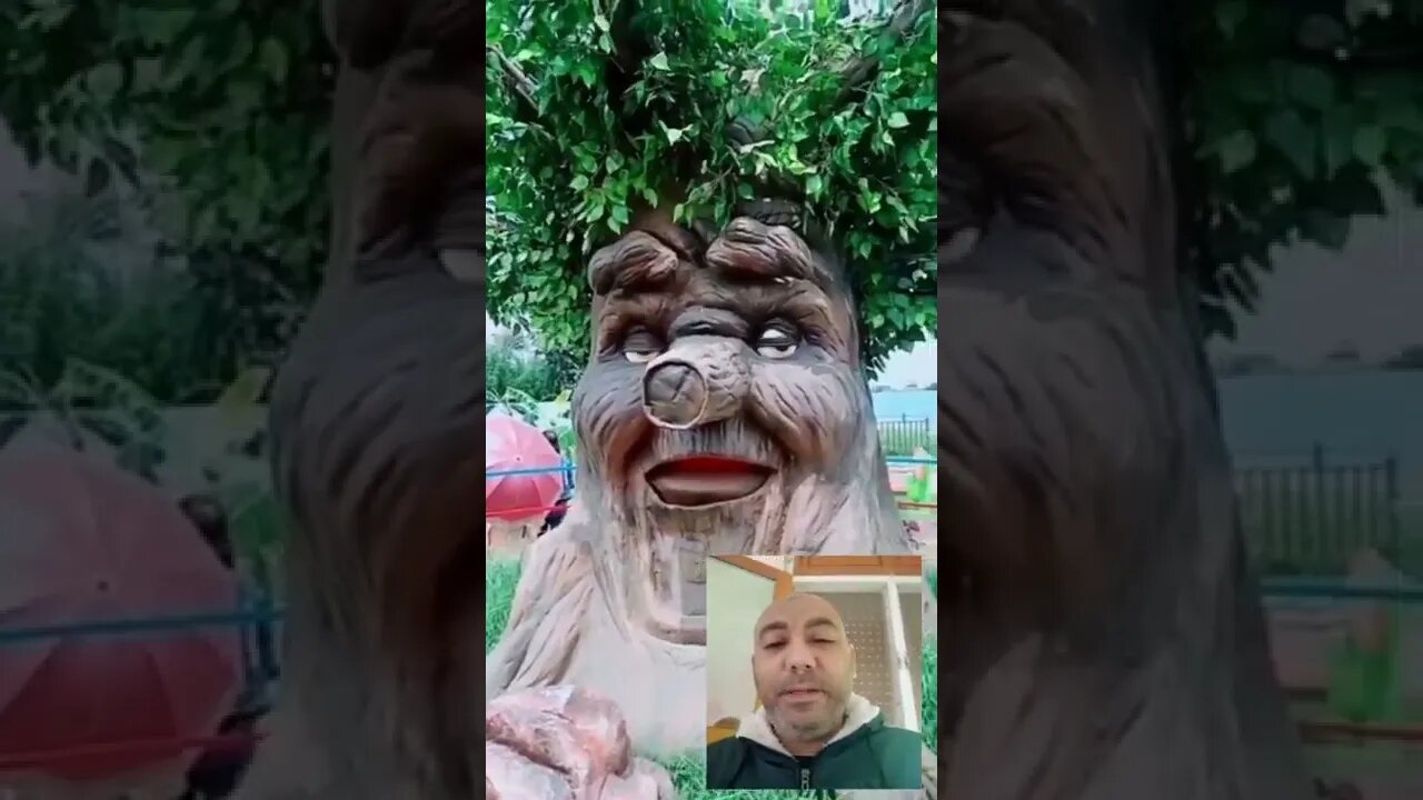 أغرب شجرة ممكن تشوفها في حياتك - إبداع | #shorts ♥️