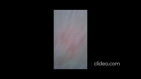 vid 20200123 023243 xFIZamlP palpites jogo bicho