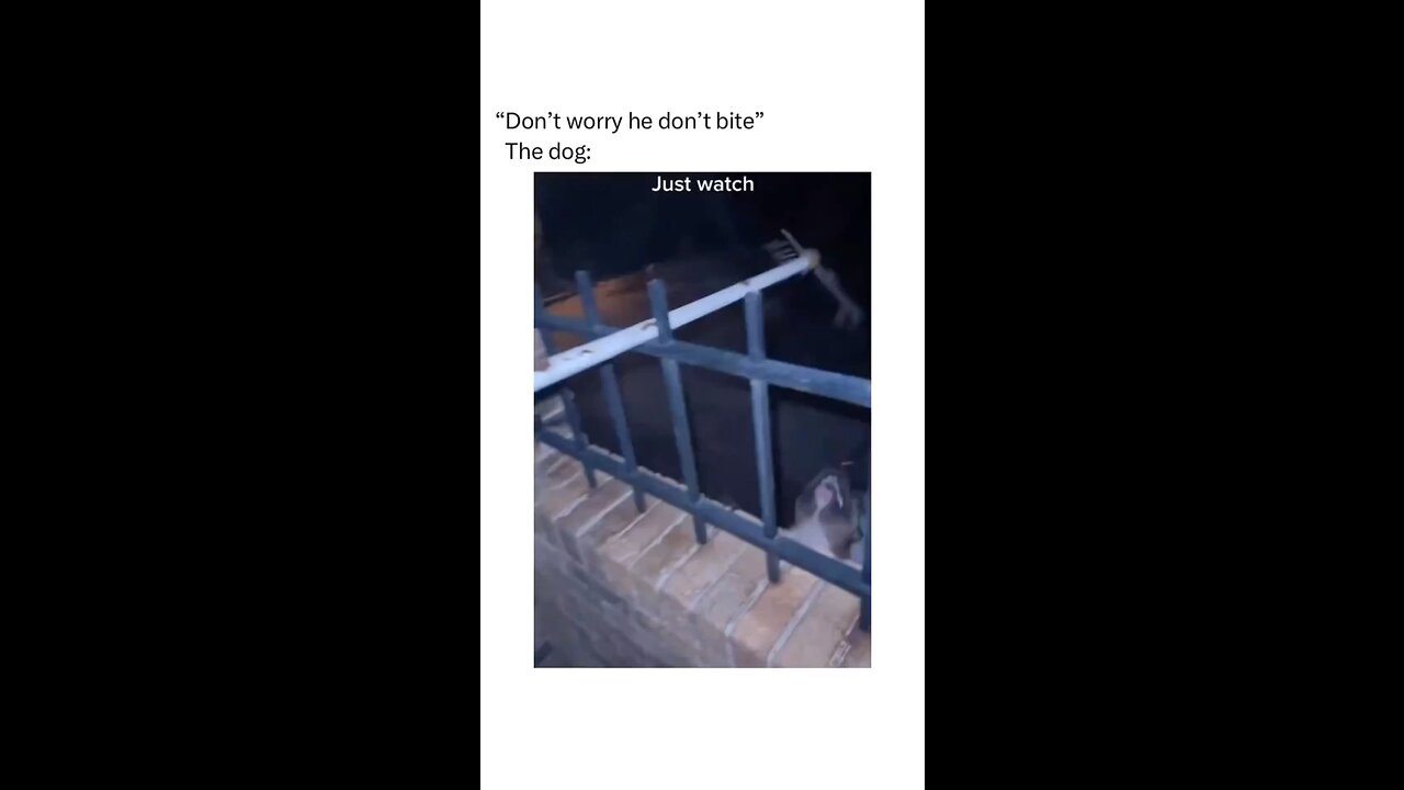 just watch 😱😱