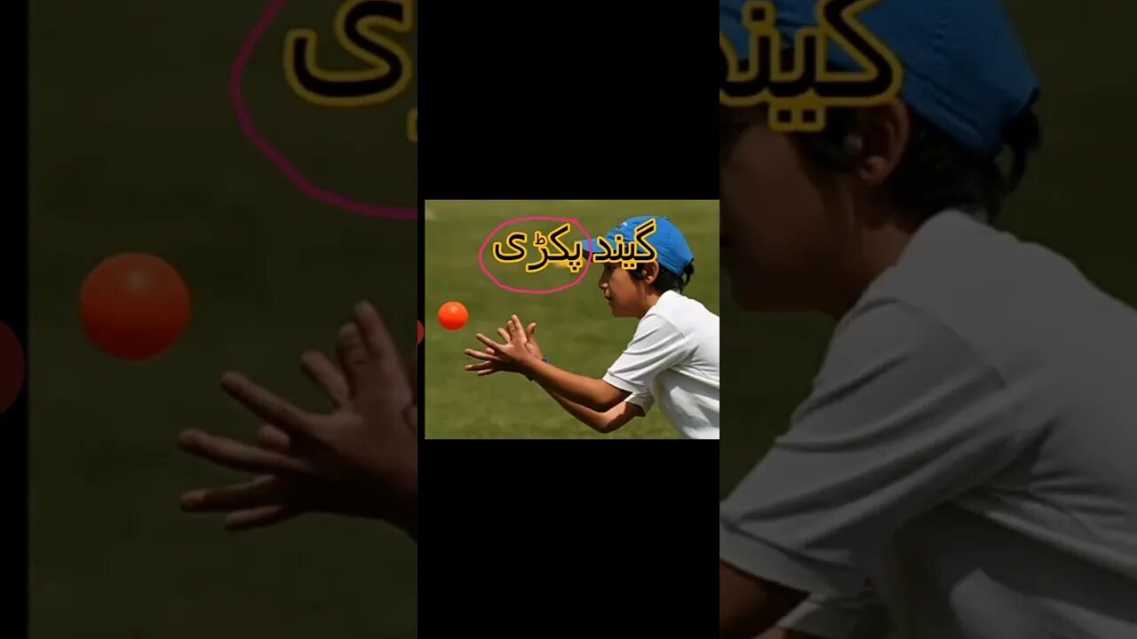 Class II Urdu B lec6 Fail ki wazahat