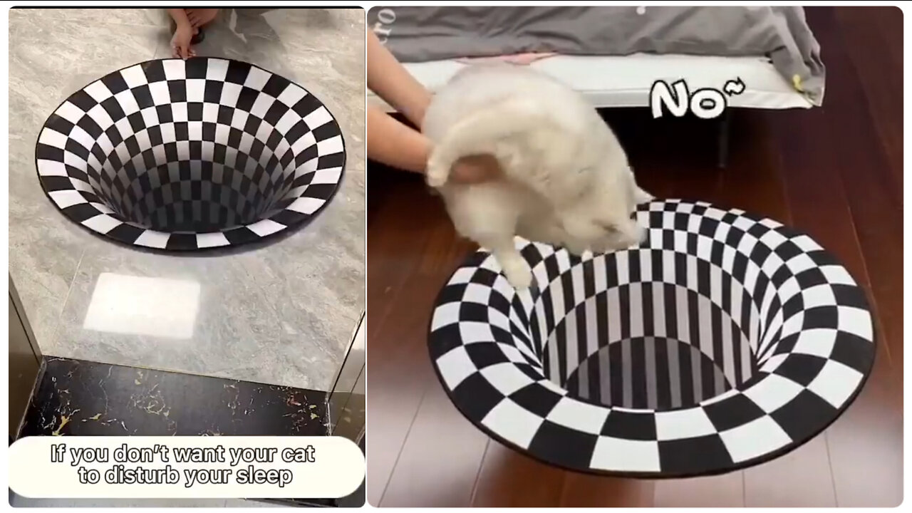 Funny Cat Video | if your cat disturb your sleep than watch it 😅