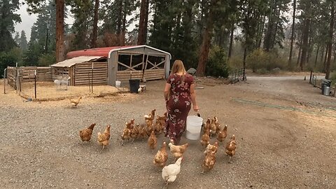 Homesteading in Hazardous Air Conditions.