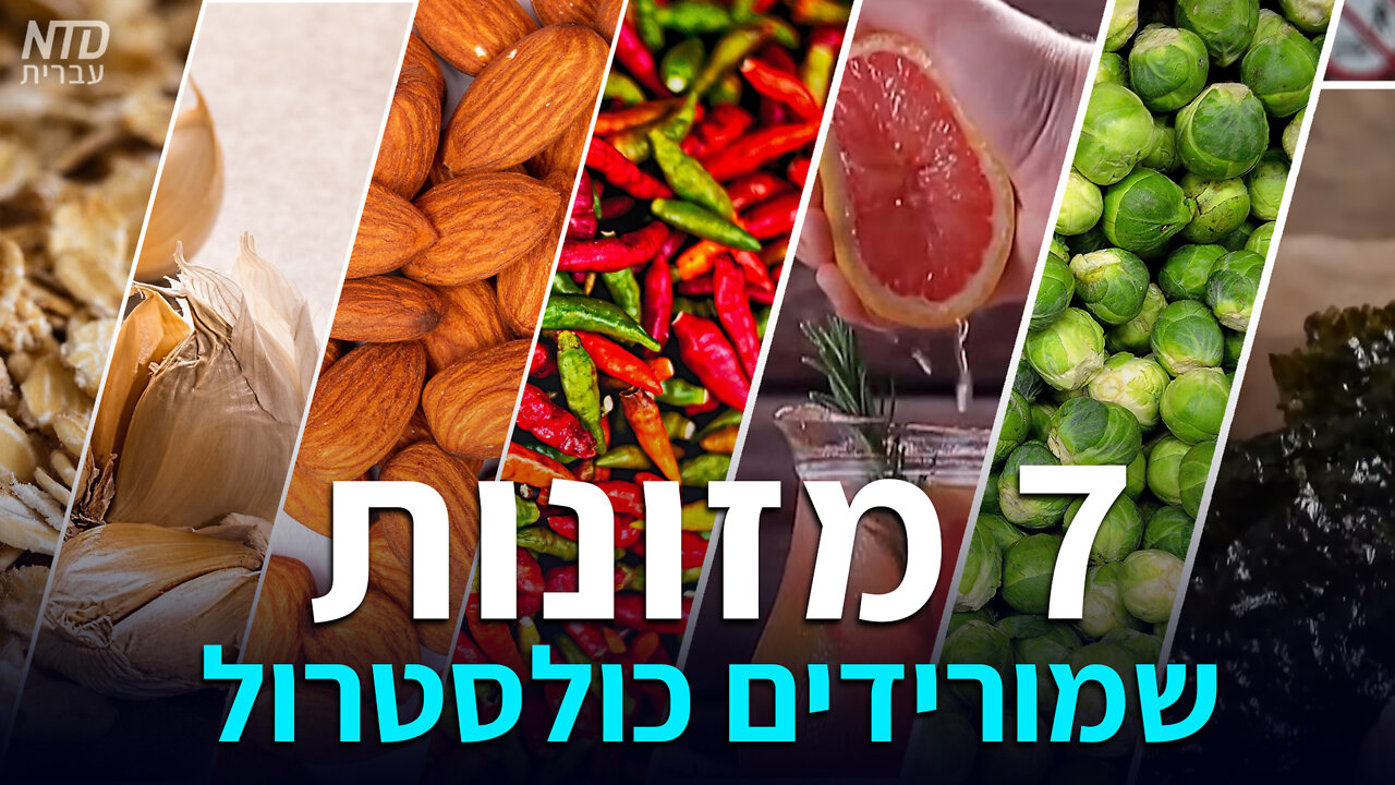 שבעה מזונות שמורידים כולסטרול