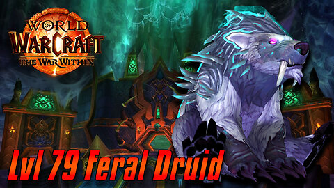 World of Warcraft: The War Within | Lvl 79 Feral Druid