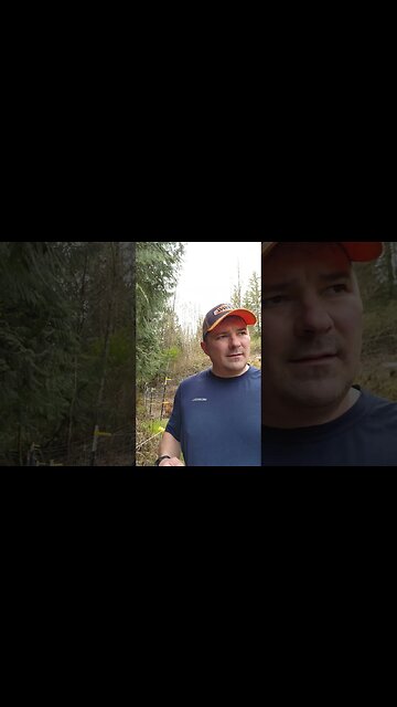 Spring? #homesteading #foodsecurity #goats