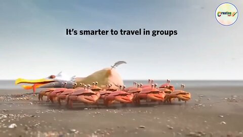 Teamwork and Leadership | Animated short clip |