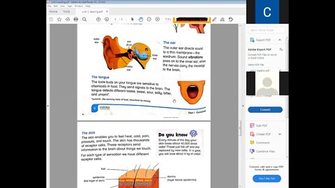 science class 5 6 04 2021
