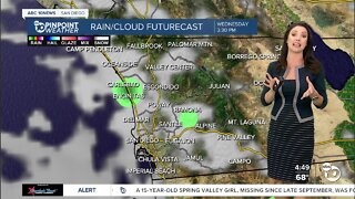 ABC 10News Pinpoint Weather with Meteorologist Megan Parry