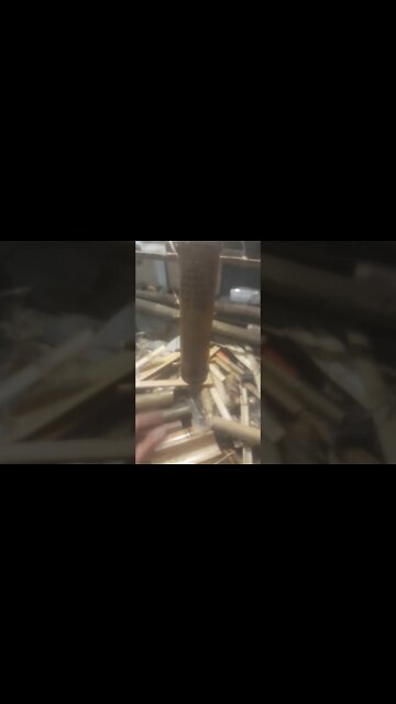 incensário de bambu#shorts