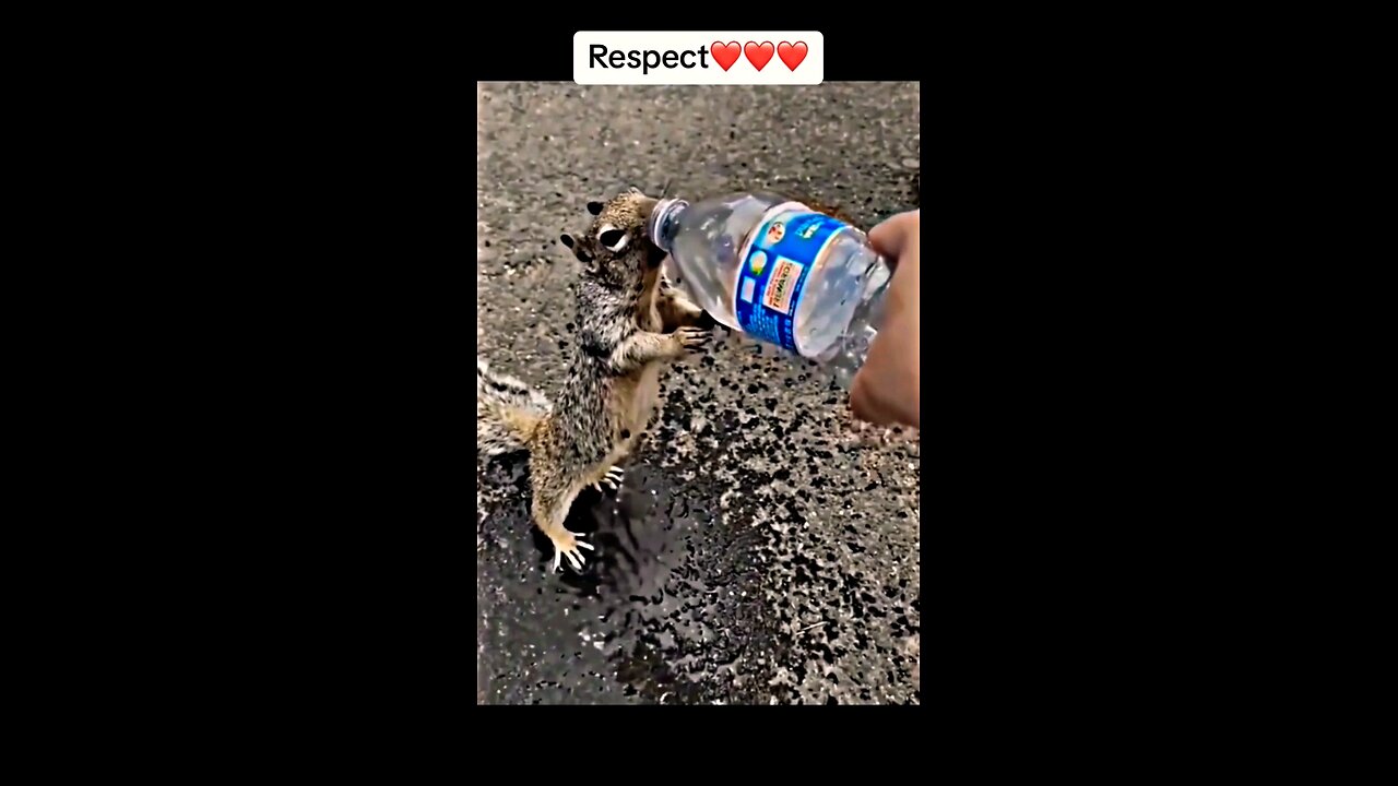 Respect💯💯🥹