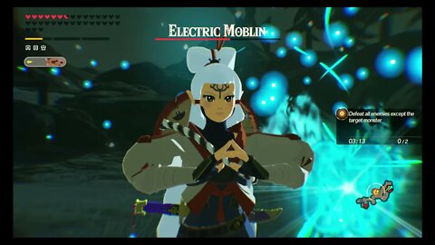 Hyrule Warriors: Age of Calamity - Challenge #166: EX Request From the Lab (Apocalyptic)