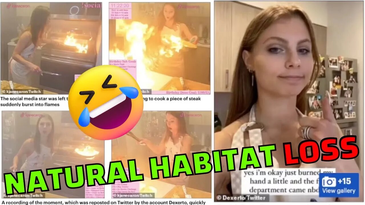 E-Girl Nearly Burns House Down Trying To Cook A Stake On Stream