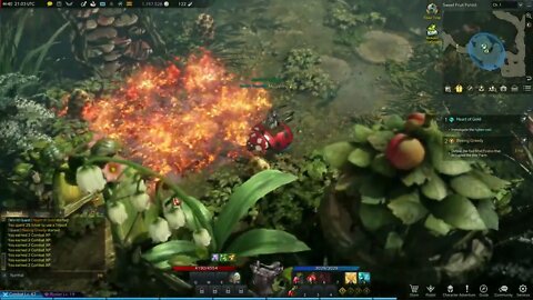 Lost Ark MMORPG Beeing Greedy