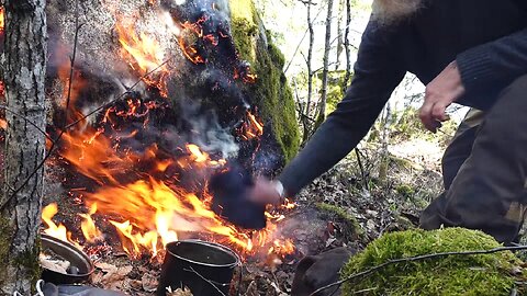 DIY Plash-Palatka as Hammock-tarp setup, cooking lesson the hard way, setting a rock on fire WARNING