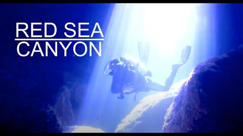 RED SEA CANYON