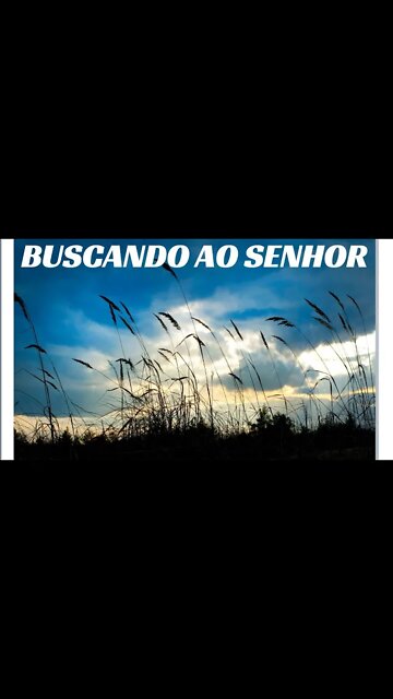 BUSCANDO AO SENHOR.#shorts