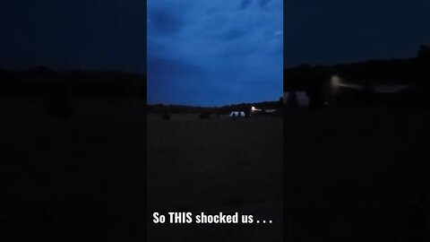 Lightning Bugs Vs. Lightning + Shocking End #shorts