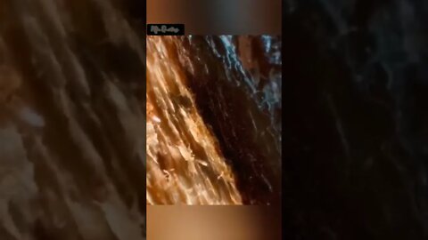 Amazing and Trending Shorts of Microfying video #shorts