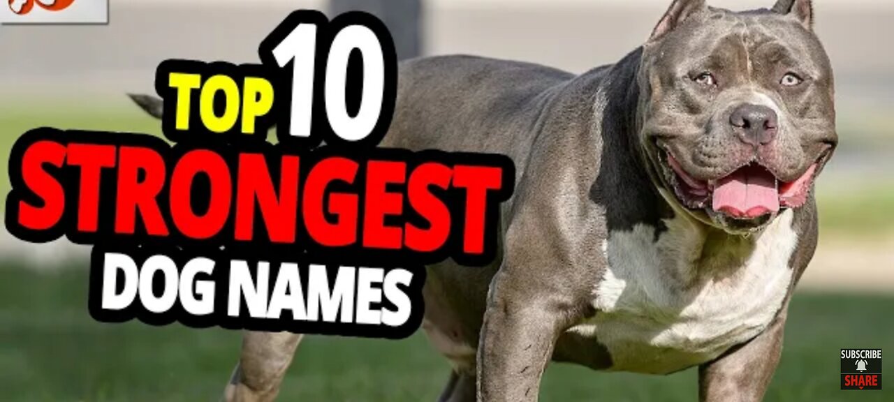 TOP 10 STRONGEST DOG NAME - For Male and Female Dogs!