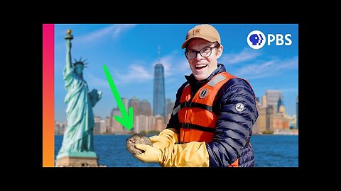 Can a Billion Oysters Save New York City?