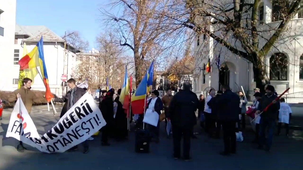 Ministerul afacerilor externe - Protest: Camelia Smicala