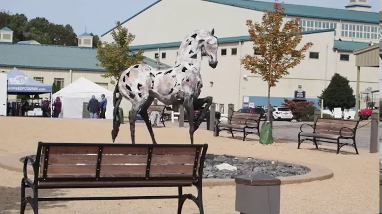 Regional Horse Show