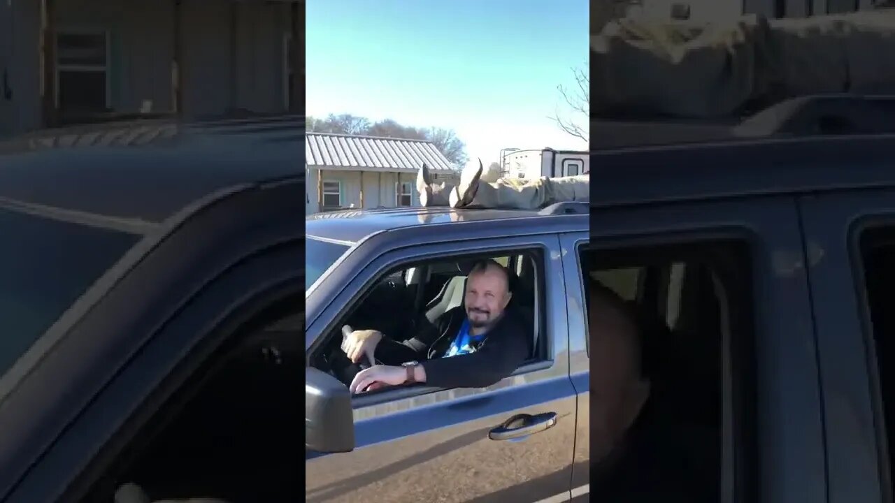 Nap time on top of my JEEP? 💤 🛏😴 #shorts