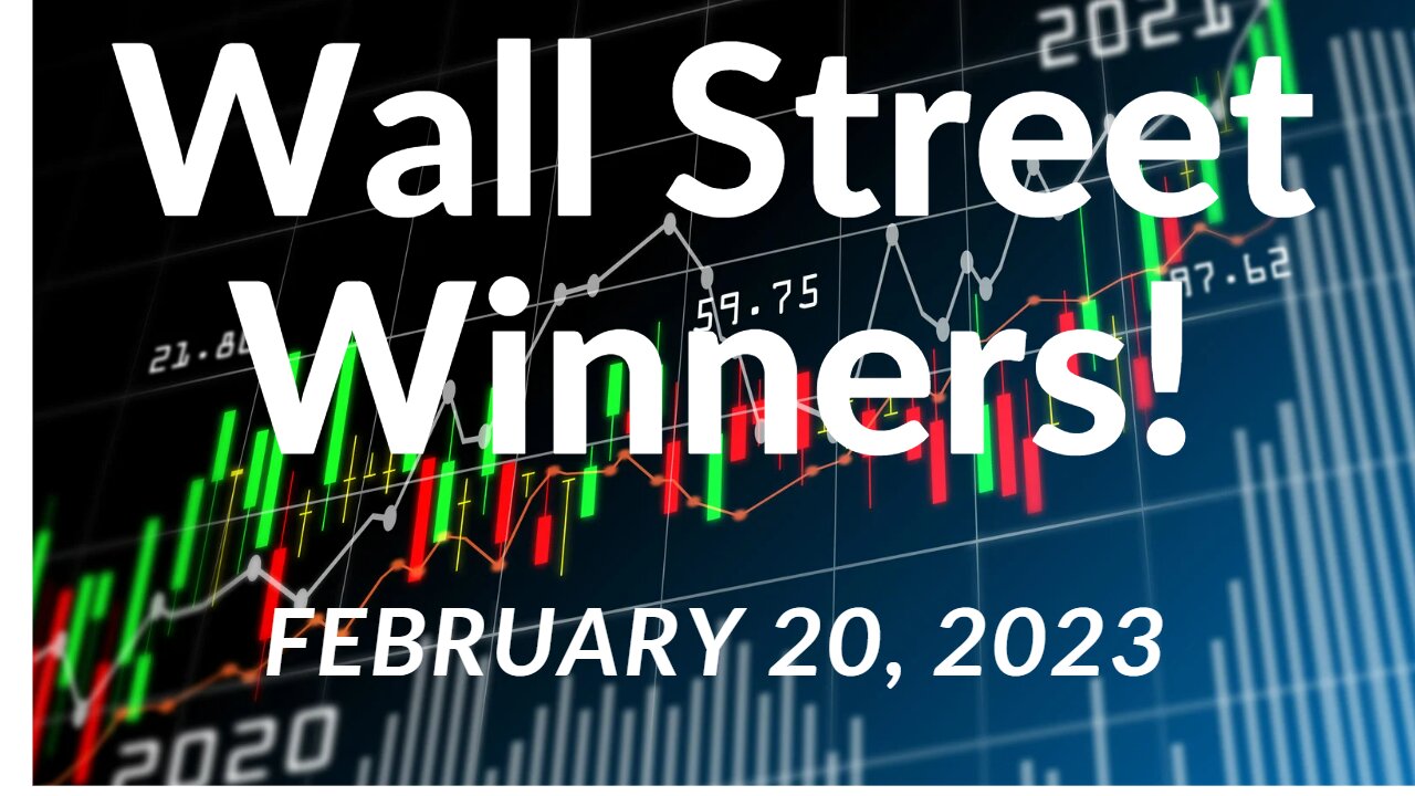 Wall Street Winners - FreeBee Edition - Feb 20,2023