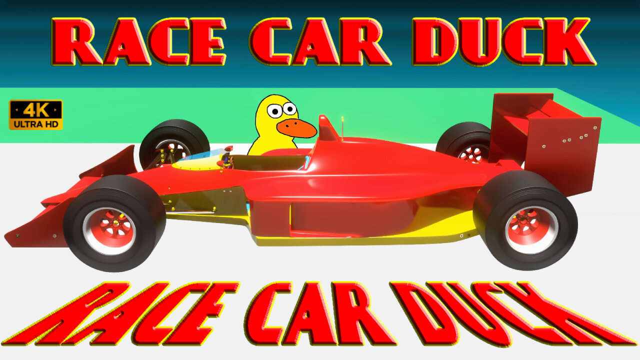 Race Car Duck