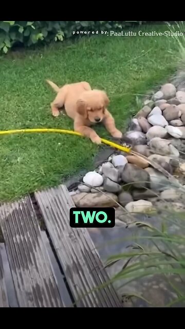 10 Powerful rules of living with people Robert Downey Jnr, Kanye West, Denzel Washington #kanyewest