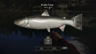 Russian Fishing 4 Kuori lake Lake Trout 3.05 Kg