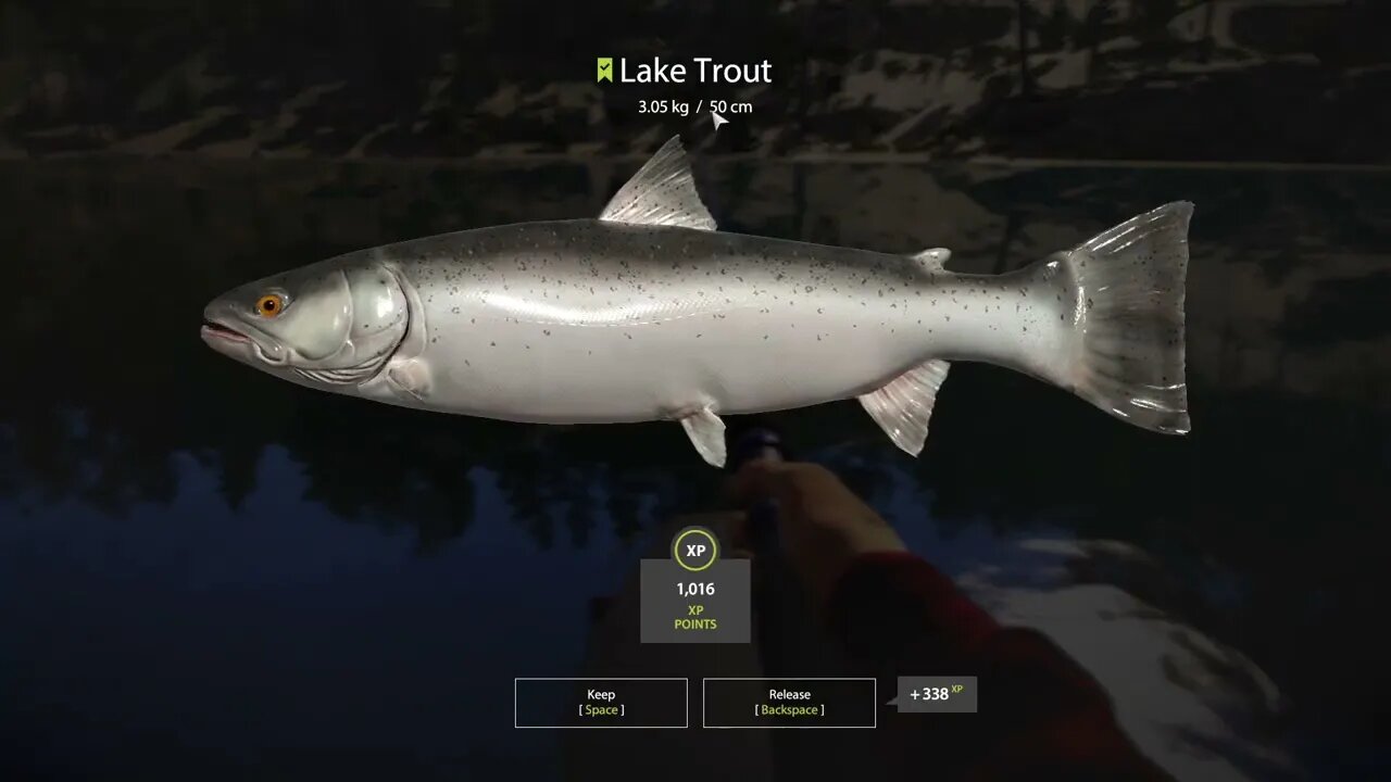 Russian Fishing 4 Kuori lake Lake Trout 3.05 Kg